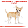 Royal Canin Chihuahua