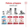 Royal Canin Medium Adult