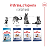 Royal Canin Maxi Adult