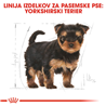 Royal Canin Yorkshire Terrier Puppy