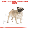 Royal Canin Pug Adult