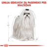 Royal Canin Maltese Adult