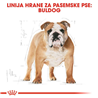 Royal Canin Bulldog Adult