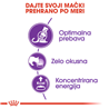 Royal Canin Sensible