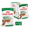 Royal Canin Mini Ageing