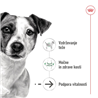 Royal Canin Mini Ageing