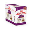 Royal Canin Sensory Smell - omaka