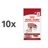 Royal Canin Medium Adult 10 x 140 g