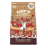 Lily's Kitchen Farmhouse Stew Adult - govedina 1 kg