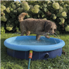Nobby bazen za pse z razpršilnikom - moder