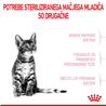 Royal Canin Sterilised Kitten