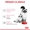 Royal Canin Mother & Babycat - zelo mehka pašteta