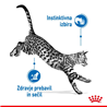 Royal Canin Adult Indoor Sterilised - omaka