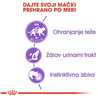 Royal Canin Adult Sterilised - pašteta