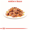 Royal Canin Adult Ultra Light - žele