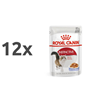 Royal Canin Adult Instinctive - žele 12 x 85 g