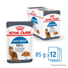 Royal Canin Adult Ultra Light - žele 12 x 85 g