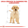 Royal Canin Labrador Puppy