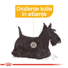 Royal Canin Adult Dermacomfort - pašteta