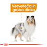 Royal Canin Adult Coat Care - pašteta