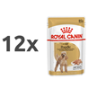 Royal Canin Adult Poodle - pašteta 12 x 85 g
