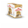 Royal Canin Adult Shih Tzu - pašteta 12 x 85 g