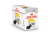 Royal Canin Adult Dermacomfort - pašteta 12 x 85 g