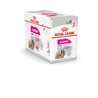 Royal Canin Adult Exigent - pašteta 12 x 85 g