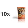 Petkult Cat Adult - losos - 100 g 10 x 100 g