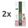 Libra Dog Adult - losos 2 x 12 kg