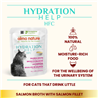 Almo Nature HFC Hydration Help juha - losos - 50 g