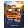 Ontario Puppy Medium - jagnjetina in rjavi riž 2,25 kg