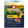 Ontario Puppy Mini - jagnjetina in rjavi riž 2,25 kg