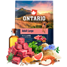 Ontario Adult Large - jagnjetina in rjavi riž