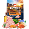 Ontario Adult Medium - bela riba in rjavi riž