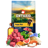 Ontario Puppy Mini - jagnjetina in rjavi riž