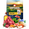 Ontario Senior Mini - jagnjetina in rjavi riž