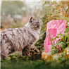 Essential Foods Cat The Panther Adult Sterilised - ribe