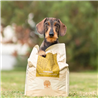Essential Foods Dog Contour Adult - piščanec, raca, ribe in jajce - mini ali large