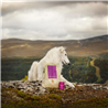 Essential Foods Dog Highland Adult - puran, losos in angus - mini ali large