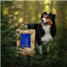 Essential Foods Dog Nautical Adult - ribe in jajce - mini ali large