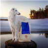 Essential Foods Dog Nautical Adult - ribe in jajce - mini ali large