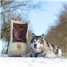 Essential Foods Dog Older Senior - piščanec, raca in ribe - mini ali large