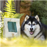 Essential Foods Dog Superior Adult - piščanec, raca in ribe - mini ali large
