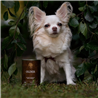 Essential Foods Dog Older Senior Pâté, konzerva - raca in piščanec - 400 g