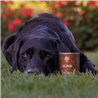 Essential Foods Dog Older Senior Pâté, konzerva - raca in piščanec - 400 g