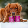 Essential Foods Dog Highland Adult Pâté, konzerva - puran in raca - 400 g