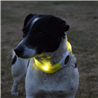 Duvo SEEcurity varnostna LED ovratnica Flash, rumena - različne velikosti