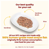 Almo Nature HFC Highly Appetizing file v juhi, vrečka - sardine - 50 g