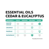 Sanicat posip Essential Oils, cedar in evkaliptus - 10 kg